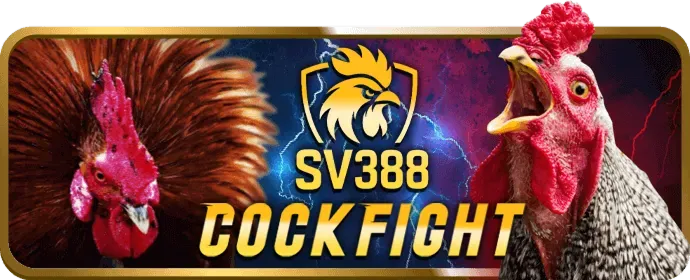 Cờ bạc có trách nhiệm nohu 09