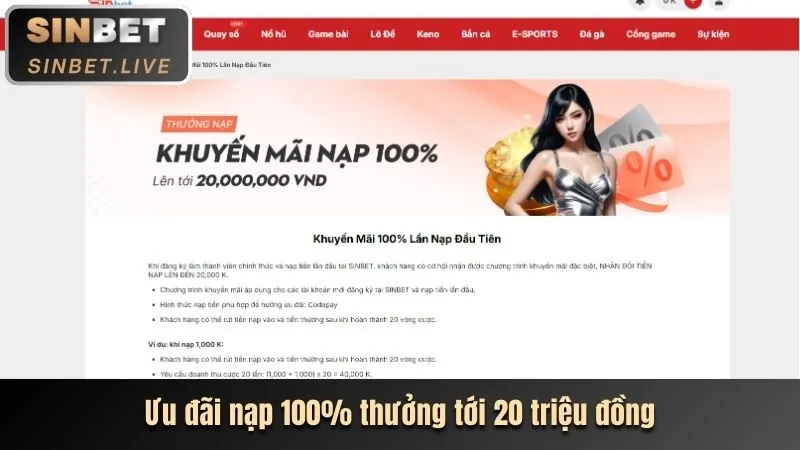 Hoàn trả tiền mặt hàng tuần cho cá cược thể thao